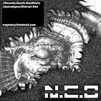 Nephenzy Chaos Order : The Right to Remain Violent (Promo)